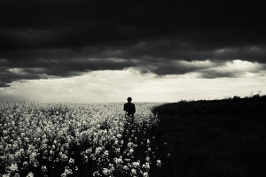 A2-felicia simion-the middle