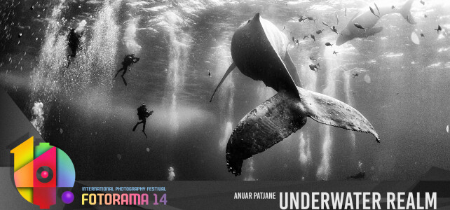 FOTORAMA 14 Kartica Sajt Underwater Realm